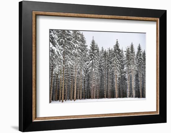 Soldiers of Winter-Philippe Sainte-Laudy-Framed Photographic Print