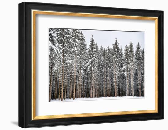 Soldiers of Winter-Philippe Sainte-Laudy-Framed Photographic Print