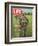 Soldiers Walking Through Grass in Vietnam, June 12, 1964-Larry Burrows-Framed Photographic Print