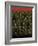 Soldiers-Teofilo Olivieri-Framed Giclee Print