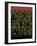 Soldiers-Teofilo Olivieri-Framed Giclee Print