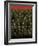 Soldiers-Teofilo Olivieri-Framed Giclee Print