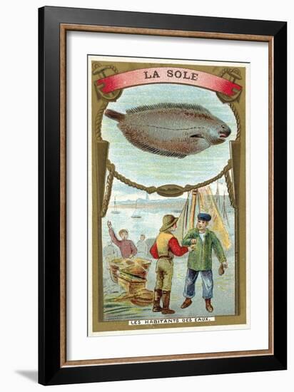 Sole-null-Framed Giclee Print