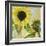 Soleil I-Color Bakery-Framed Giclee Print