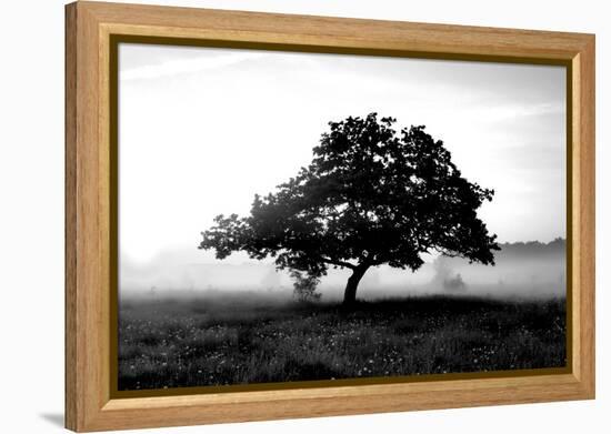 Solemn Tree-null-Framed Premier Image Canvas