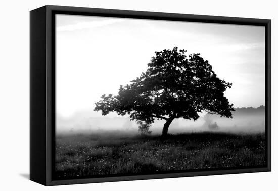 Solemn Tree-null-Framed Premier Image Canvas