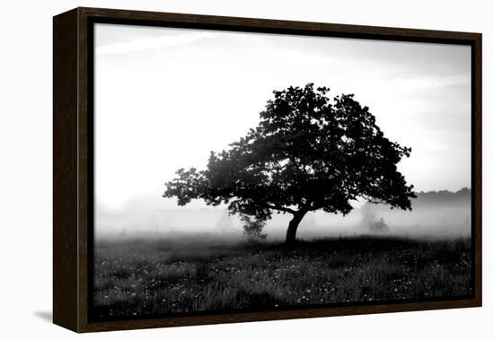 Solemn Tree-null-Framed Premier Image Canvas