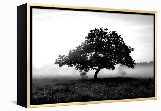 Solemn Tree-null-Framed Premier Image Canvas