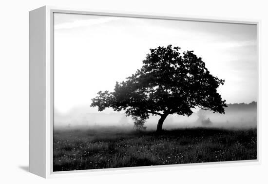 Solemn Tree-null-Framed Premier Image Canvas