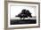 Solemn Tree-null-Framed Photographic Print