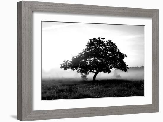 Solemn Tree-null-Framed Photographic Print