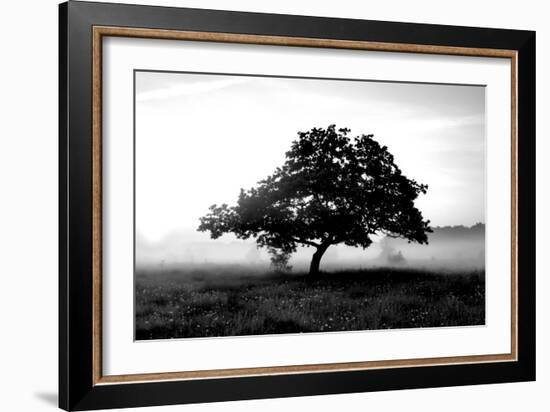 Solemn Tree-null-Framed Photographic Print