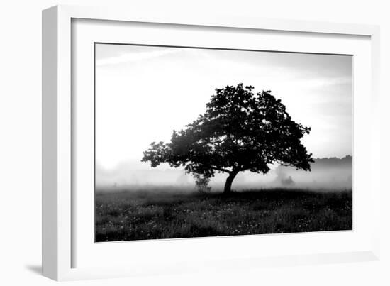 Solemn Tree-null-Framed Photographic Print