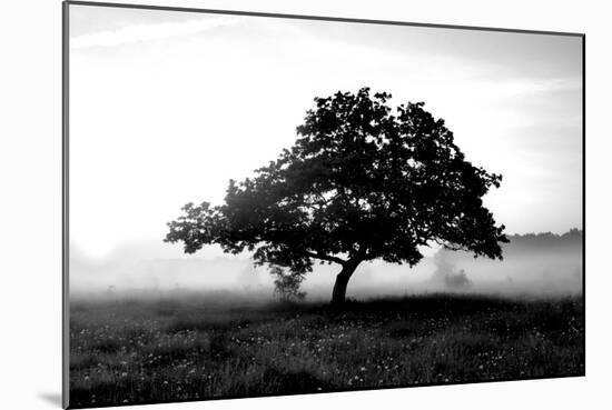 Solemn Tree-null-Mounted Photographic Print