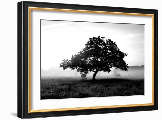 Solemn Tree-null-Framed Photographic Print