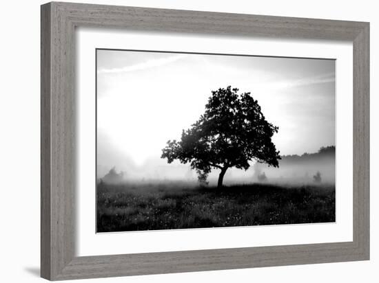 Solemn Tree-PhotoINC Studio-Framed Art Print