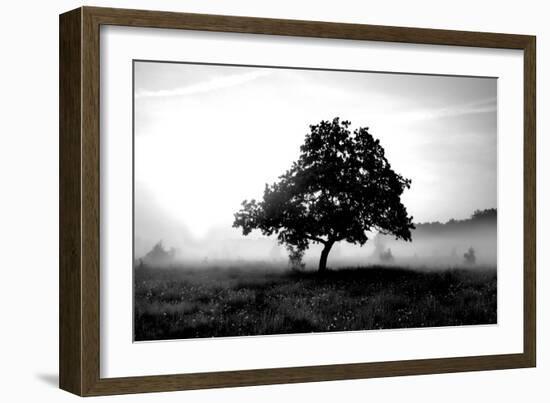 Solemn Tree-PhotoINC Studio-Framed Art Print