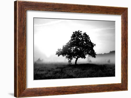 Solemn Tree-PhotoINC Studio-Framed Art Print