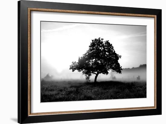 Solemn Tree-PhotoINC Studio-Framed Art Print