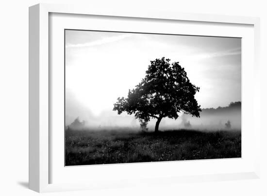 Solemn Tree-PhotoINC Studio-Framed Art Print