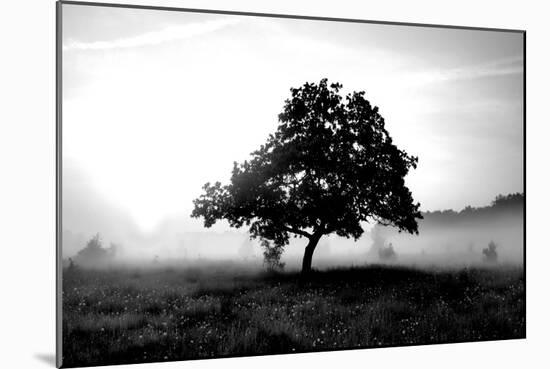 Solemn Tree-PhotoINC Studio-Mounted Art Print