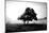 Solemn Tree-PhotoINC Studio-Mounted Art Print