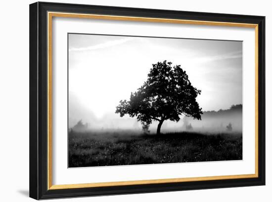 Solemn Tree-PhotoINC Studio-Framed Art Print