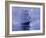 Solent'- Out of the Nightmist, 2009-James Brereton-Framed Giclee Print