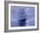 Solent'- Out of the Nightmist, 2009-James Brereton-Framed Giclee Print