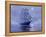 Solent'- Out of the Nightmist, 2009-James Brereton-Framed Premier Image Canvas