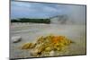 Solfatara, Volcanic Crater with Active Fumaroles, Pozzuoli, Naples, Campania, Italy, Europe-Carlo Morucchio-Mounted Photographic Print