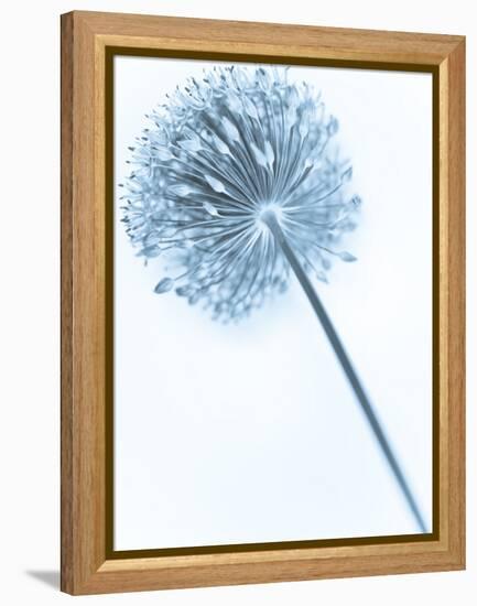 Solidarity 2-Doug Chinnery-Framed Premier Image Canvas