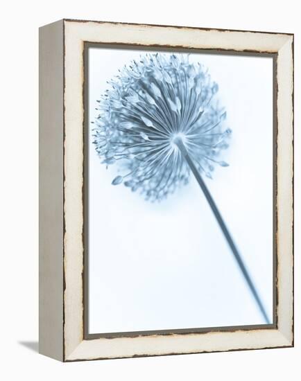 Solidarity 2-Doug Chinnery-Framed Premier Image Canvas