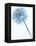 Solidarity 2-Doug Chinnery-Framed Premier Image Canvas
