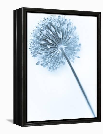 Solidarity 2-Doug Chinnery-Framed Premier Image Canvas