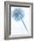 Solidarity 2-Doug Chinnery-Framed Photographic Print