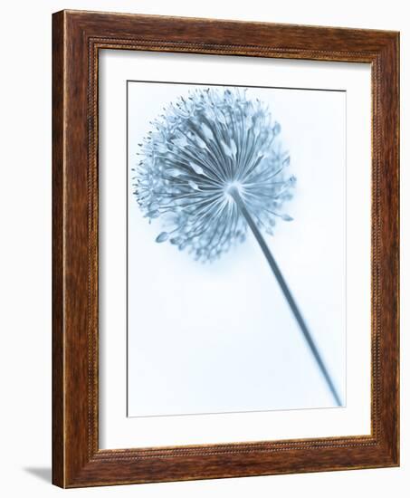 Solidarity 2-Doug Chinnery-Framed Photographic Print