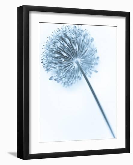 Solidarity 2-Doug Chinnery-Framed Photographic Print