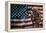 Solider Statue and American Flag by Identical Exposure-null-Framed Stretched Canvas