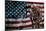 Solider Statue and American Flag by Identical Exposure-null-Mounted Photo