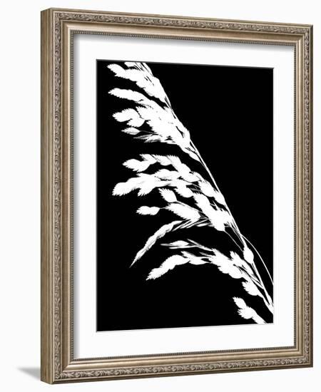 Soliloquy Reverse I-Monika Burkhart-Framed Photographic Print