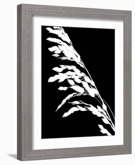 Soliloquy Reverse I-Monika Burkhart-Framed Photographic Print
