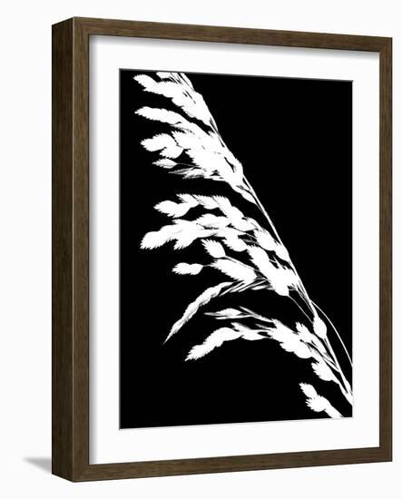 Soliloquy Reverse I-Monika Burkhart-Framed Photographic Print