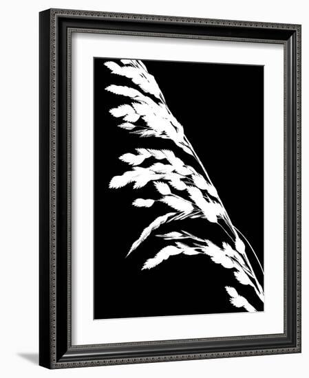 Soliloquy Reverse I-Monika Burkhart-Framed Photographic Print