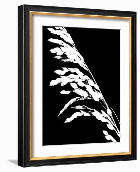 Soliloquy Reverse I-Monika Burkhart-Framed Photographic Print