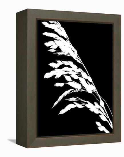 Soliloquy Reverse I-Monika Burkhart-Framed Premier Image Canvas