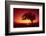 Solitaire-Tree, Silhouette, Sunset, Sunset, Nature-Ronald Wittek-Framed Photographic Print