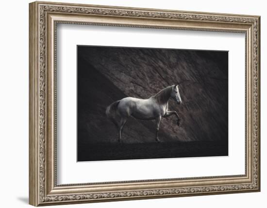 Solitare-Heike Willers-Framed Photographic Print