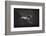 Solitare-Heike Willers-Framed Photographic Print