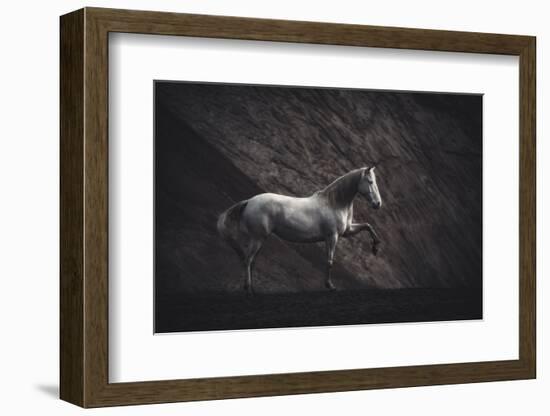 Solitare-Heike Willers-Framed Photographic Print